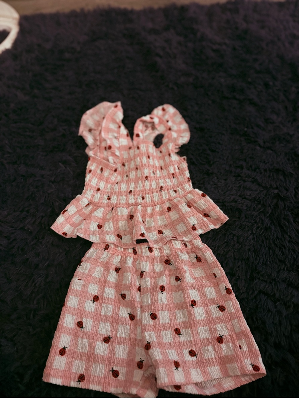 Madison Pink Gingham Smocked Top and Shorts with Ladybug Print